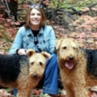 Ann M Mackinnon