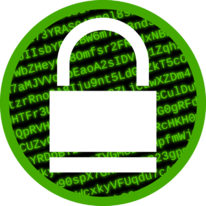 What should a Company do after a Data Breach?